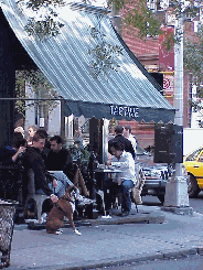 Bottom right picture you see village people dining at Tartine on West 4th Street.  One of the great things about sidewalk dining is that you are able to take along your best friend for a little well deserved treat.