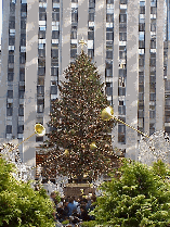 Center right picture you see the famous Christmas Tree at Rockefeller Center.