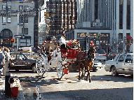 If you get tired of shopping or chip your nails from pulling out the plastic, then take a carriage ride through Central Park.  You could stop by Tavern on the Green and have lunch or dinner.  If you need advice on spending money...Hay,  we're here.