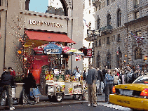 Center right picture you see the corner of Fifth Avenue and the Louis Vuitton store.  The push carts line the streets everywhere with vendors selling hot dogs and pretzels.