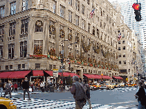 Bottom right picture you see Sak's Fifth Avenue across from Rockefeller Center.   The lines to see the windows of this store wrap around city blocks.