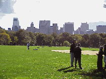 Bottom right picture you see the skyline of New York City as seen from the Great Lawn.  You'll almost always find a ballgame in progress here.