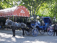 Center right picture you see a horse and carriage waiting in front of Tavern on the Green Restaurant.  A carriage ride through the park to Tavern on the Green will certainly win your sweethearts affections.