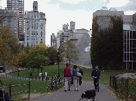 Central Park has everything!  Top right you see the Metropolitan Museum of Art and Central Park. In the distance you see the skyline of the East Side of NYC.