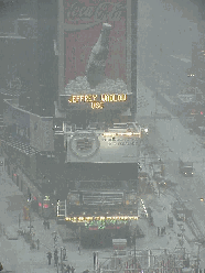 Top right picture you see near blizzard conditions in Times Square.  Even in blizzards, New York City just keeps on going.