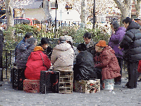 Center right photo you see a serious card game in progress in Columbus Park.  You'll see people of all ages gather here to play cards everyday.