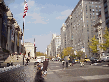 Center right picture you see Fifth Avenue at the Metropolitan Museum of Art on Museum Mile.  We have the best museums.  The Metropolitan Museum is surrounded by Central Park, one of the most beautiful parks in the world.