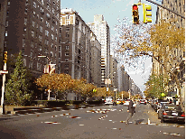 Center right photo you see Park Avenue and 77th Street.  This is one of the more quiet areas of NYC.