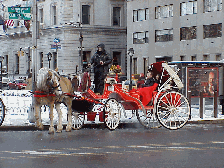 Bottom right picture you see one of the pretty horse and carriages that line up at Grand Army Plaza for a ride through Central Park.