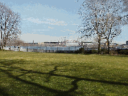 Center right picture was taken on the lawn of Gracie Mansion.  In the distance you can see the Harlem River and the Triboro Bridge.