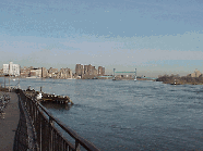 Bottom right picture you see the promenade at Carl Schurz Park.  Carl Schurz Park is open to the public and offers a great place for jogging, skating or just relaxing on a nice day.