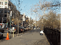 Center right photo you see Tompkins Square Park which is across the street  from Avenue A.  Tompkins Square Park is another reason for the popularity of the area.