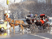 Top right picture you see one of the many gorgeous horse and carriages near Grand Army Plaza.  They line up here to give passengers a scenic ride through Central Park.  The carriages come in many colors and some of the drivers dress for the occasion.