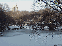 Bottom right picture you The Pond in Central Park with the buildings of the Upper West Side in the skyline.