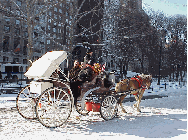 Top right picture you see a horse and carriage making it's way into Central Park.  In the background you can see Central Park South.  This is where many of the fine hotels such as the Plaza are located offering views of Central Park.