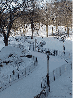 Center right picture you see ice and snow covering a walkway in Central Park. This is always one of the most beautiful parts of New York City.