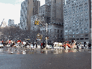 Bottom right picture you see a very distant shot of Grand Army Plaza that was taken standing in front of the Plaza Hotel.  You can see the horse and carriages lined up at the park. It would be very difficult to decide which horse and carriage is best.