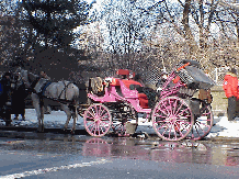 Top right photo you see another horse and carriage waiting for a passenger near Grand Army Plaza.