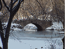 Center right photo you see a snow covered bridge over The Pond in Central Park.  If we had to choose which season was the prettiest, we just couldn't!