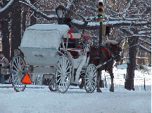 A box of chocolates, a bouquet of flowers.  A note that says I love you.  It's Valentines Day! Top right picture you see a horse and carriage making its way through Central Park in the snow. What a great excuse to cuddle up.