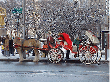 Center right picture you see a pretty horse and carriage near Grand Army Plaza.  After shopping on Fifth Avenue, top off the day with a  scenic ride through Central Park.