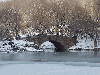 Center right photo you see a snow covered bridge in Central Park. It's been rumored that Al Pacino loves roller skating in Central Park disguising himself as Dustin Hoffman.