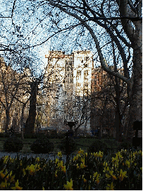 Top right picture is looking east through the park.  In the distance you can see some of the buildings that surround the park.  In the foreground you see the signs of spring!