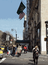 The most elegant hotel in NYC, that's the Sherry Netherland Hotel at 781 Fifth Avenue.  Across the street is Central Park and a few blocks north on Fifth Avenue is Museum Mile.  The Sherry Netherland Hotel is absolutely a first class hotel.