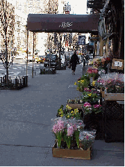 When you walk the streets of the Upper East Side and First Avenue you pass by (picture top right) Billy's Restaurant at 948 First Avenue. The Condron family opened Billy's back more than 130 years ago. Billy's is the oldest family owned restaurant in NY.