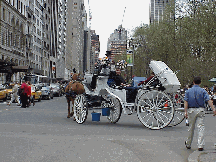 Center right picture you see a horse and carriage making it's way onto Central Park South to take patrons for a ride through Central Park.  Across the street is the Plaza Hotel.