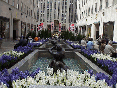 Bottom right picture you see the fountains at Rockefeller Center adorned with spring flowers.  In the far distance is the area of the skating rink.