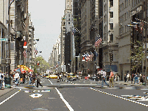 Bottom right picture you see a distant shot of Fifth Avenue.  If you continue up Fifth Avenue you'll come to Museum Mile.  As the name implies, this is where the street is lined with famous museum such as the Metropolitan Museum of Art.