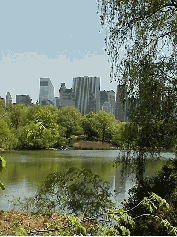 Top right picture you see The Lake in Central Park.  In the distance you see the Citicorp Building to the far left.