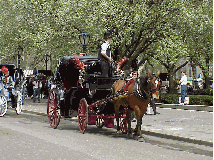 Center right photo you see a pretty horse and carriage at Grand Army Plaza.  A carriage ride through the park is a wonderful way to see the sights. The carriages are always lined up at Grand Army Plaza, waiting for YOU!