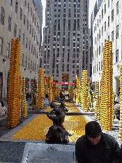 Center right picture you see Rockefeller Center.  Okay, here's the creative side of things.  Those are oranges, grapefruits and lemons you see.  Citrus Art... only in New York.