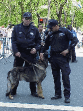 Everyone loves a hero!  Top right photo you see members of the New York Police Department (NYPD) with one of their NYPD police dogs (K-9 Unit).