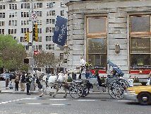 Center right photo you see a horse and carriage making it's way past the Plaza Hotel at Grand Army Plaza. The horse and carriages are so pretty we never get enough of them.