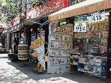 Center right picture you see a typical sidewalk shot of the East Village.  The streets are lined with delis, pizza parlors, souvenir shops and of course NYC newsstands.