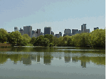 Looking for a spot to find your spirit?  Bottom right picture you see Central Park, an oasis in the busy city.