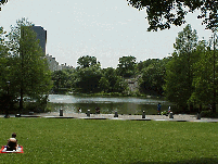 Bottom right picture you see another shot of Harlem Meer.  The Meer (Dutch for lake) is stocked with fish.  It's a beautiful place to spend a day.