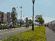 Center right picture you see the esplanade on the Hudson River.  Want to take a  really beautiful walk?  Here you'll find piers along the way with music and great views.