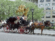 Center right picture you see a pretty horse and carriage at Grand Army Plaza.  These beautiful carriages are the prettiest way to get around in Manhattan.