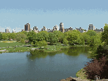 Center right picture you see the Turtle Pond in Central Park.  This place is so pretty you'll be moving like a turtle when you try to leave.