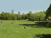 Center right photo you see Sheep Meadow in Central Park.  Soak up the sun or chill out, this is the spot!