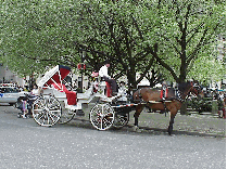 Bottom right picture you see a pretty horse and carriage at Grand Army Plaza.  This is where you will find many of the famous hotels, such as the Plaza Hotel and the Sherry Netherland to only name a few.