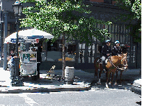 Center right photo you see the NYPD on horseback.  A friendly sight all over the city of New York.