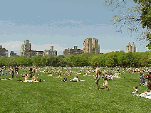 Center right picture you see Sheep Meadow in Central Park with the skyline of the East Side of NYC in the distance.  Central Park extends from 59th Street to 110th Street.