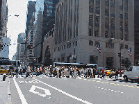 Join the crowd!  Bottom right picture you see the intersection of Fifth Avenue and 57th Street.  You'll never be able to see or shop it all here!