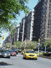 Center right picture you see Park Avenue uptown.  Park Avenue is a very wide avenue and the center is always perfectly landscaped with flowers.