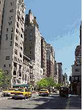 Top right photo you see Park Avenue and some of the fine luxury homes.